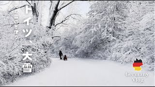 【 ドイツ暮らし 🇩🇪】ハンブルクが真っ白に！ドイツの冬の光と、家族で過ごす真っ白な週末