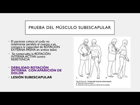 Exploración de Hombro