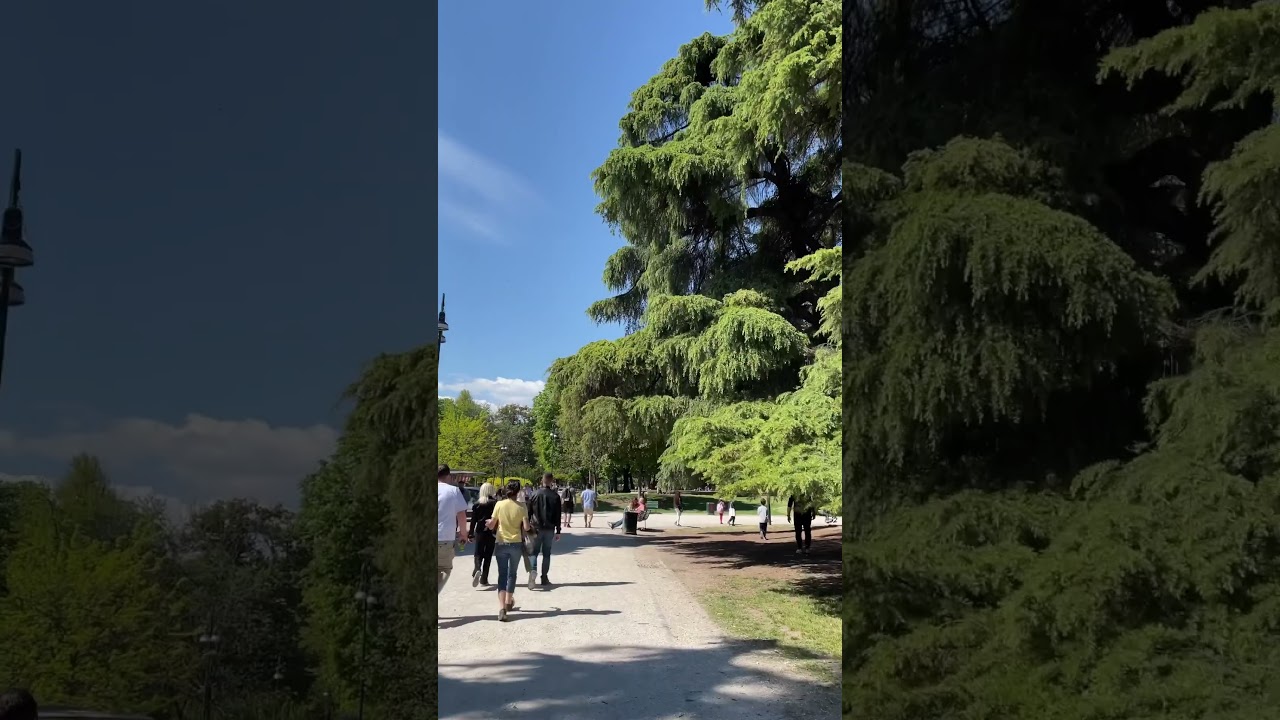 YouTube Short thumbnail