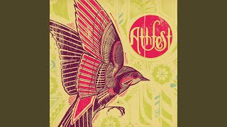 Standing on the Moon