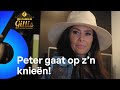 OMG! Peter doet Wendy NU AL EEN AANZOEK! ? | Familie Gillis