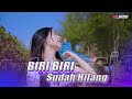 DJ BIRI BIRI SAYA DAH HILANG JARJIT UPIN IPIN