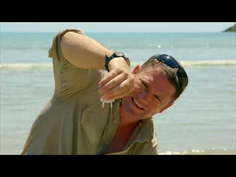 MOST venomous creature on earth - the Box Jelly