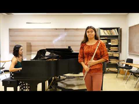 Mozart Flute Concerto in D Major