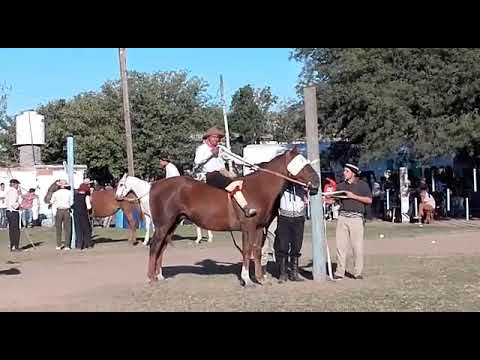Diego Tejeda Vs El Lunático 2do premio Las Playas Villa Maria