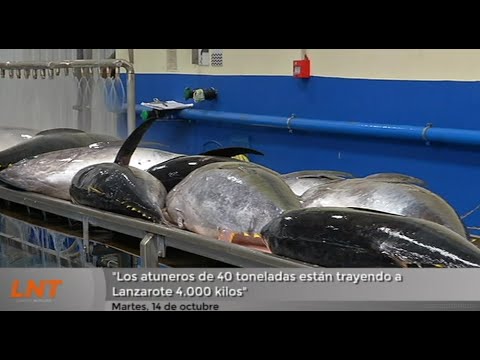 ¿Aumentará el precio del atún?