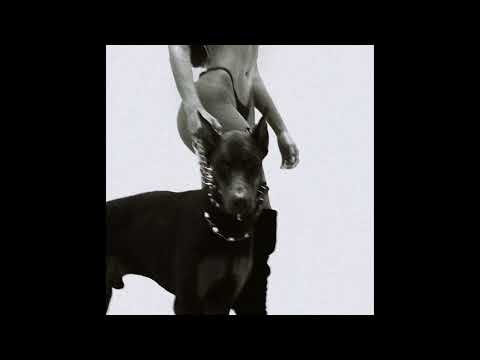 [FREE] 404Billy X Alpha Wann Type Beat "Cerbère"