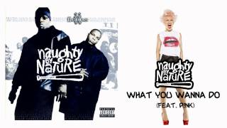Naughty By Nature - What You Wanna Do (feat. P!nk) [HD 1080p]