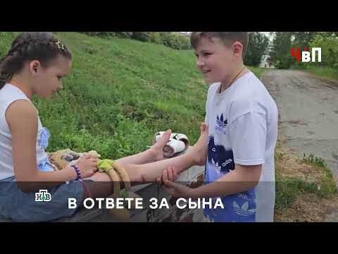 «ЗАИГРАЛИСЬ»