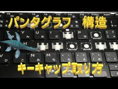 ノートPC　キーボード　パンタグラフキーの取り方、構造について（DELLとASUS)