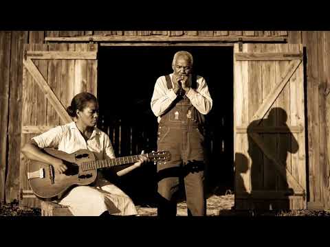 From Cotton Fields to Harmonica Solos Blues from the Delta