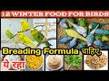 12 Best Foods For Birds In Winter Budgies Winter Food Budgies Winter Diet Budgies Breeding
