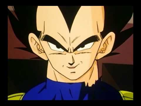 Vegeta, I really suggest that you listen to Piccolo and Tien.