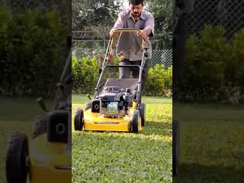 Petrol Lawnmower videos