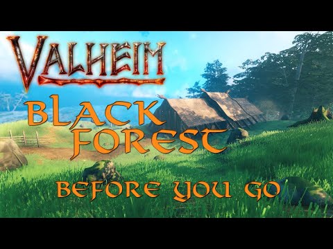 Valheim's Black Forest - Everything I wish I knew before I went in