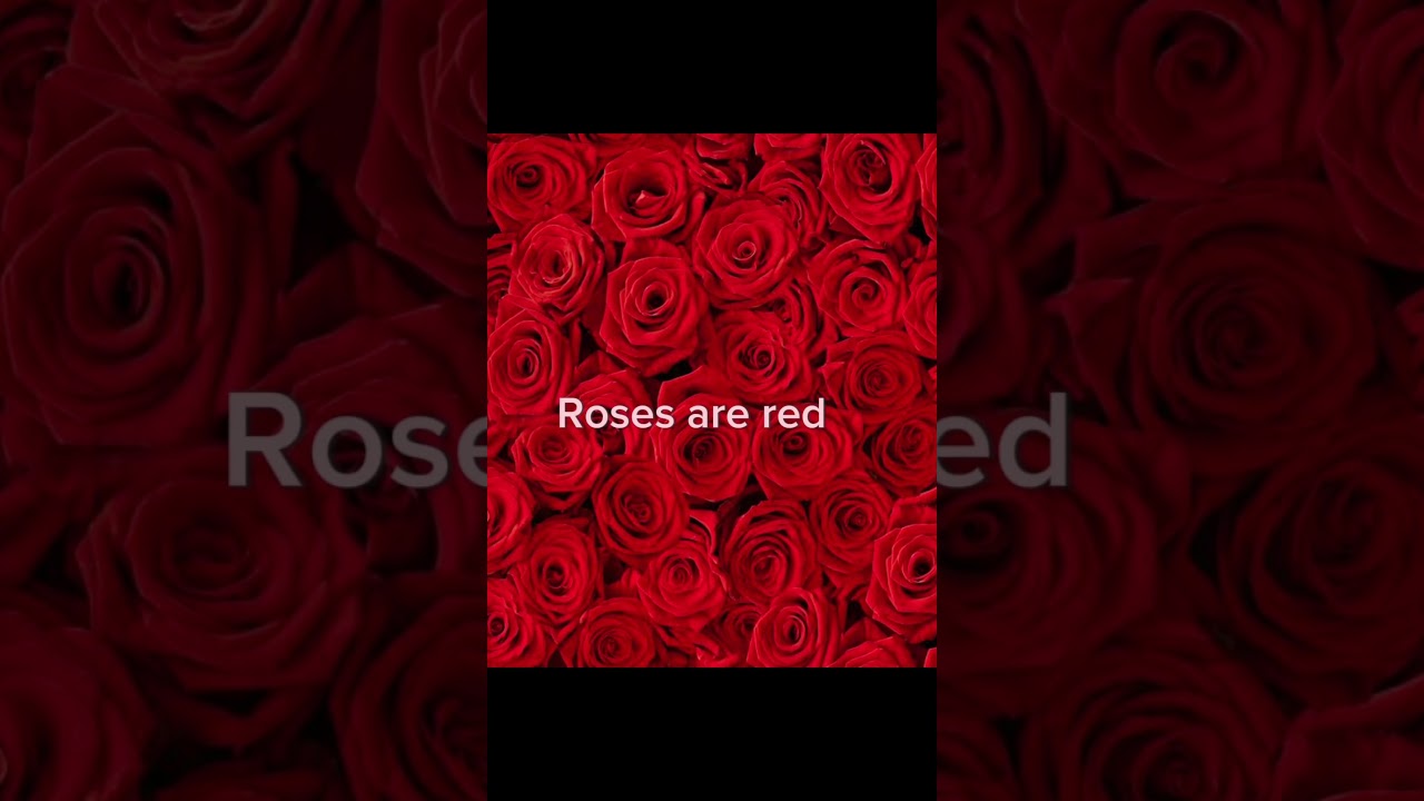 Send this to your dad ❤️