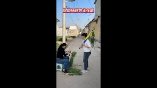 Download lagu 3x7csxtz7pzgvtk.mp4 mp3 Download lagu 3x7csxtz7pzgvtk.mp4 mp3