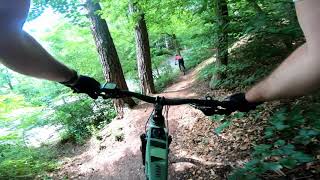 Mömlingen 2.0 - MTB-Geo-Naturpark (Mö1) | Focus Thron2 |  E-MTB | Trail