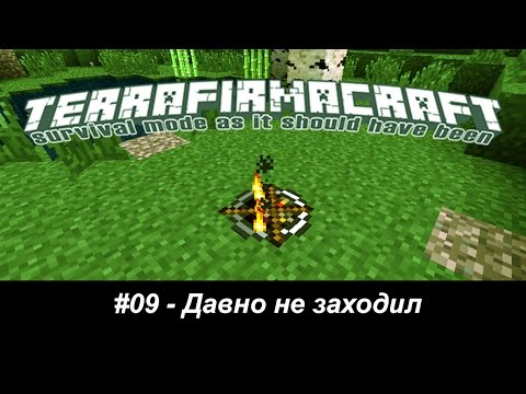 Minecraft - TerraFirmaCraft - #09 - Давно не заходил