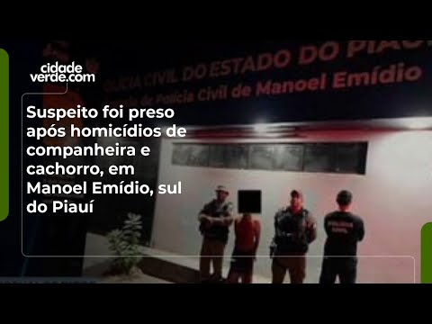 Suspeito foi preso após homicídios de companheira e cachorro, em Manoel Emídio, sul do Piauí