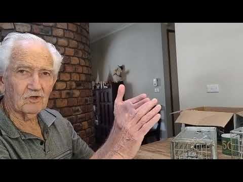 Big Cheese Rat Trap Review