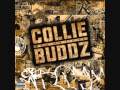 Collie Buddz - Wild Out