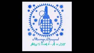 Muslimgauze - Analog Zikr 5