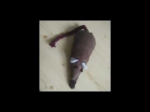 Podpoř vznik české eko značky pro psy a jejich páníčky