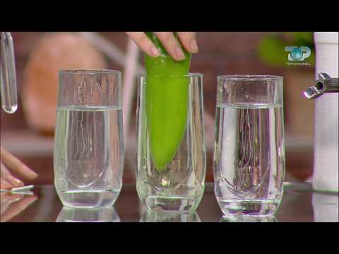 Ne Shtepine Tone, 12 Mars 2018, Pjesa 2 - “Camelot”