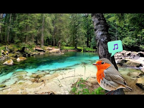 Blue Crystal Clear Forest River - A Serene Escape into Nature's Bliss