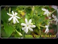 மொட்டு விட்ட முல்லை கொடி - Mottu Vitta Mullai Kodi
