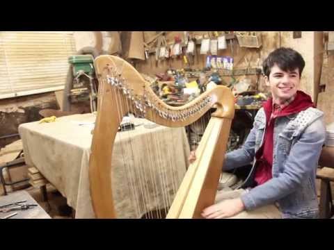 Fiachra - The Last Harp: Planxty Shane Ó Meachair