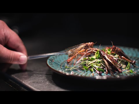 Delish Destinations Dunedin