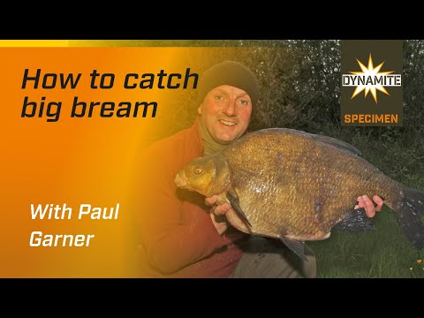 Bream Fishing: How to catch big bream with Paul Garner