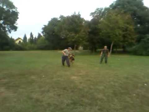 BRANKO BEG U PARKU.3gp