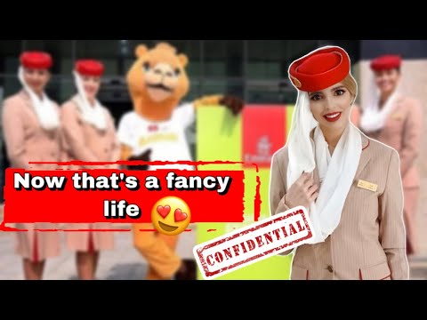 How to become Emirates business promotion cabin crew & Salary