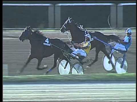 Trotto 17/09/2015 - 5° corsa