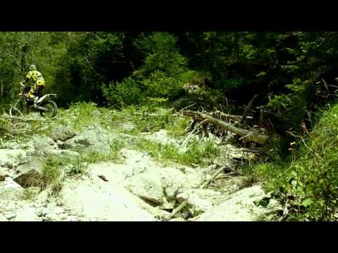 2015 KTM Freeride 250r