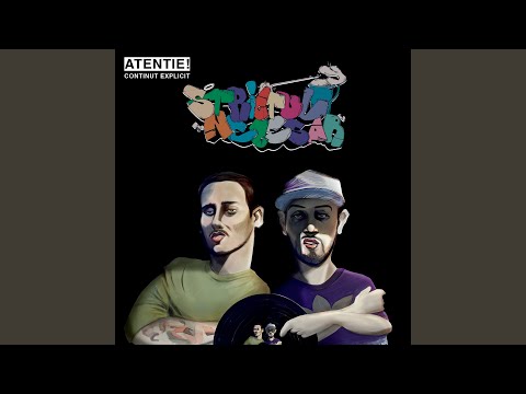 Așa Cum Crezi (feat. Bocaseca)