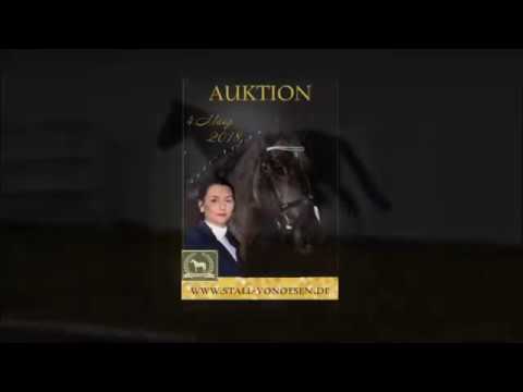 "Black Beauty" Endmaß - Pony von D-Day