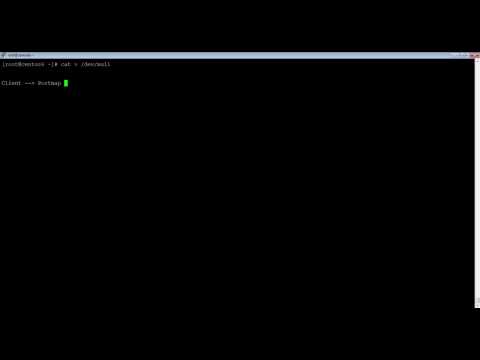 Remote Procedure Call(RPC)