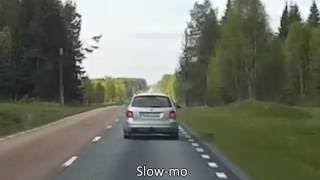 Near collision with moose