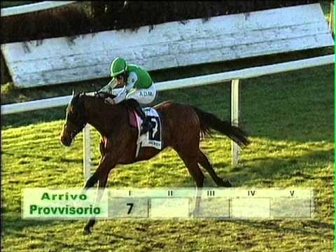 2016-03-03 corsa n6 m1500 Premio Electrocutionist