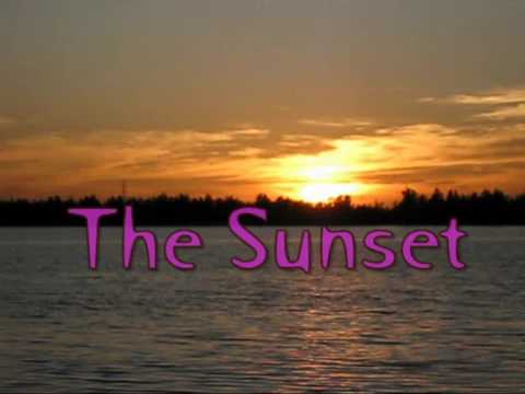 The Sunset and Egrets Dance