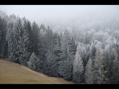 Out of Body Experience Experiment 2021 ~ Day 34, 35, 36 ~ The Long Pause ~ 2/8/21