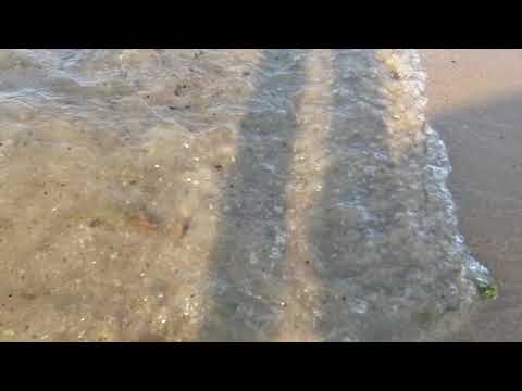 Free stock slow motion HD video - summer beach wave