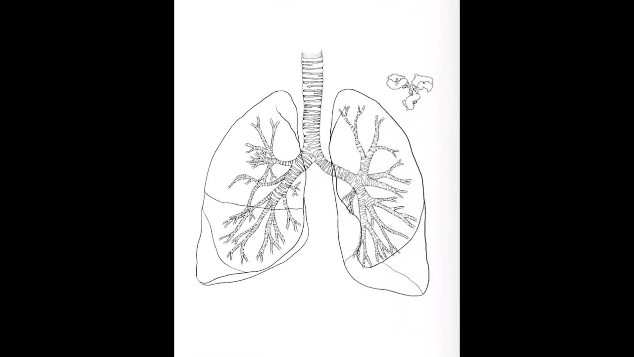 PhD Thesis Design - Cover and Layout - Dr. Geyer