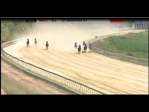 Sai Gon Racing Club| Horse Racing 28-01-2018 Race 1 | Horse Racing 2018