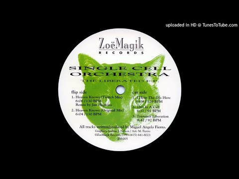 Single Cell Orchestra - This is A Call