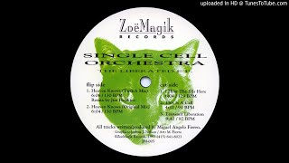 Single Cell Orchestra - This is A Call